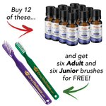 Holiday HealThy Mouth Blend + Free PLASTIC Bass Toothbrush