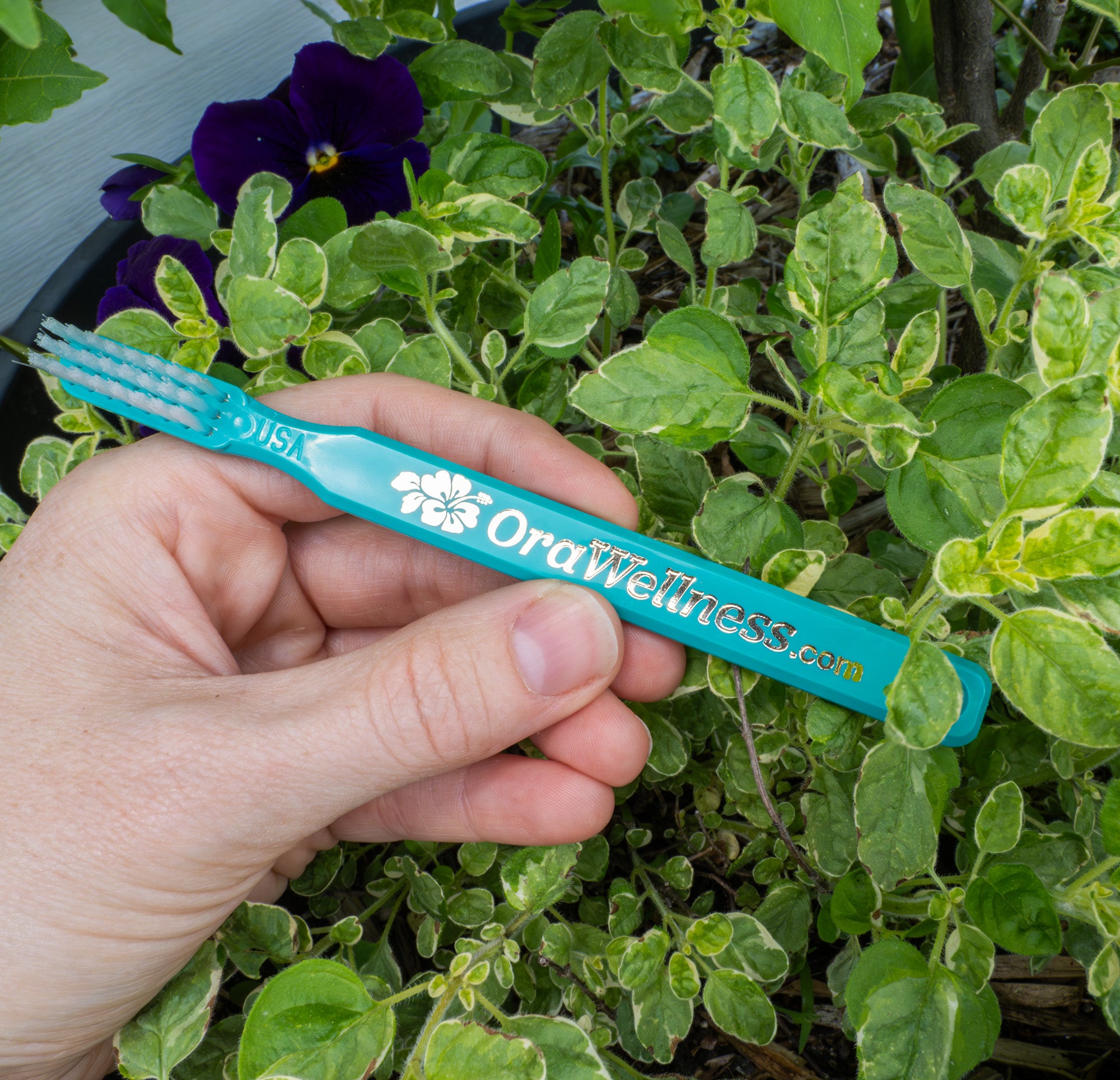 Bass Toothbrush - a special design proven to reduce gum disease ...