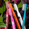 Bass Toothbrush - a special design proven to reduce gum disease ...