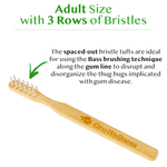 BrushEco - the sustainable Bass toothbrush
