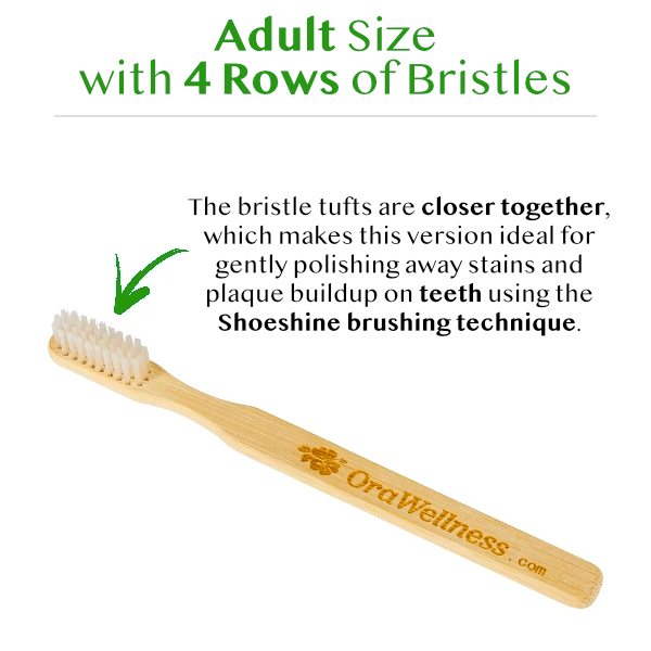Bristle brush discount for teeth