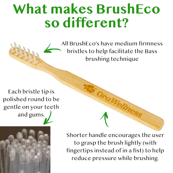 BrushEco - The sustainable Bass toothbrush (100% of profits donated ...