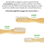 BrushEco - the sustainable Bass toothbrush